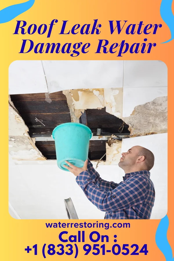 Roof Leak Water Damage Repair in Coffee Springs, AL